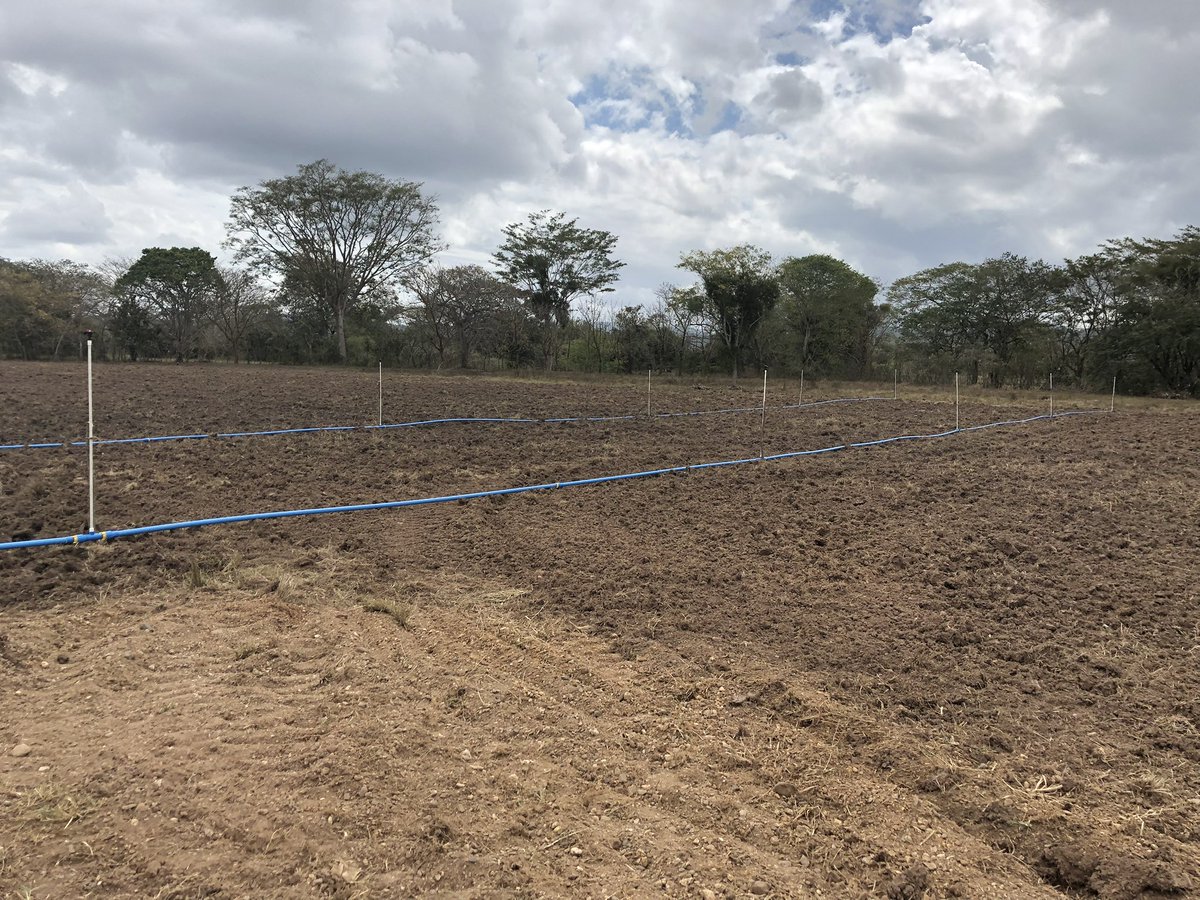 Flavio Najera tweet media