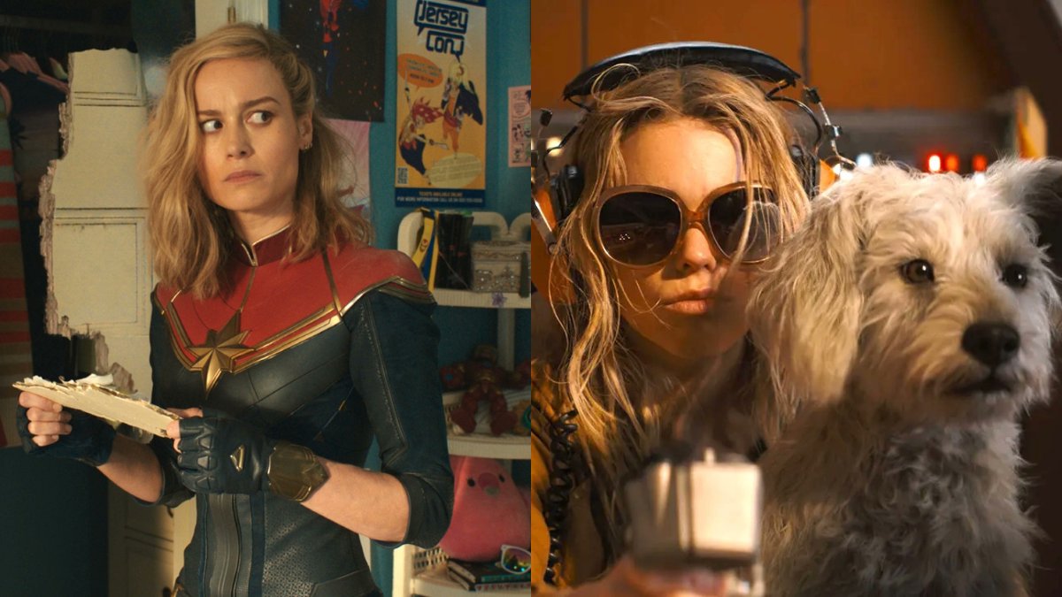 Fandom Pulse tweet media