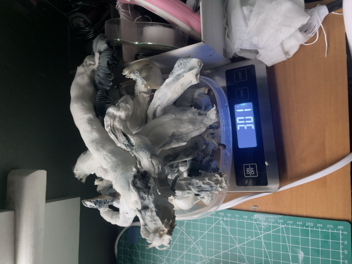 Toadally average tweet media