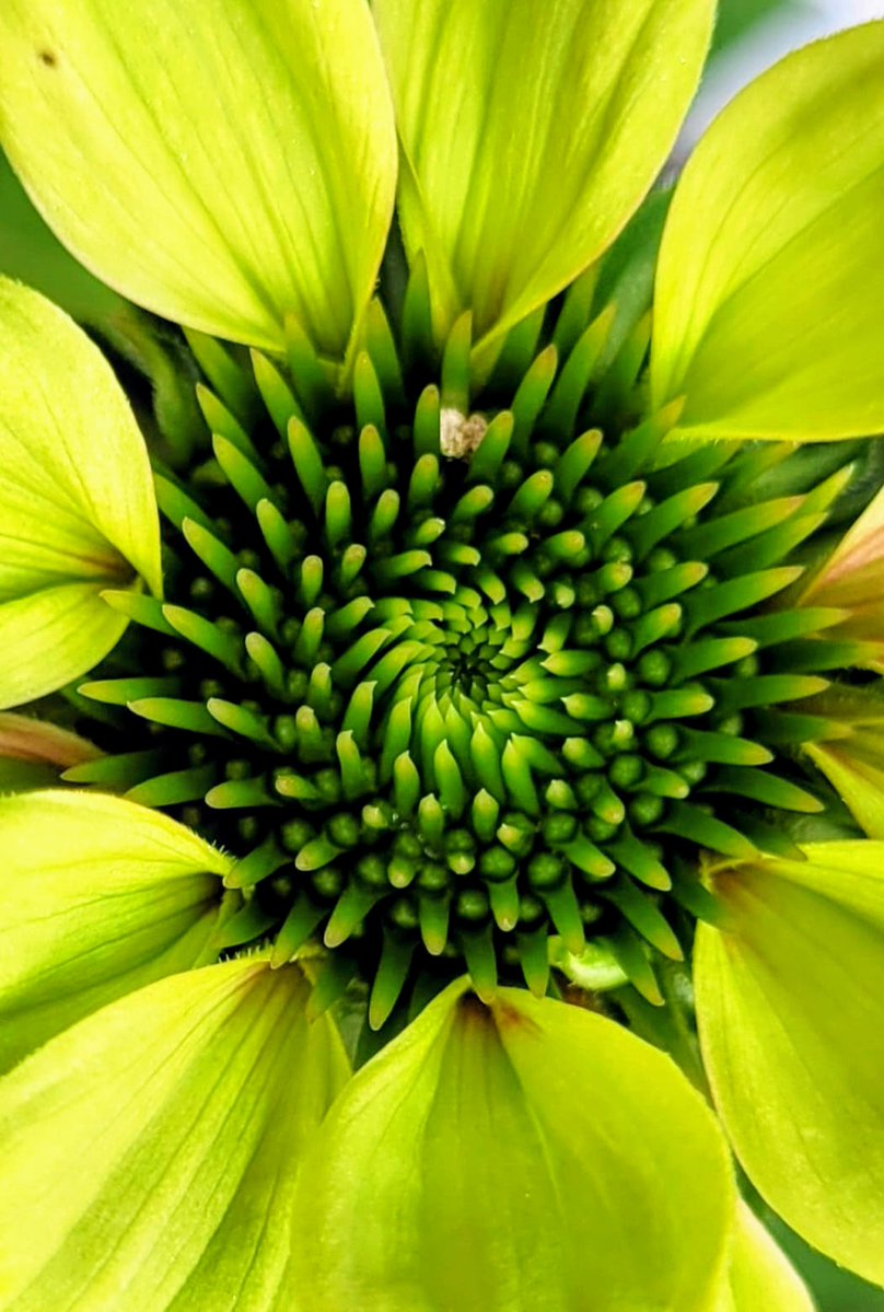 Daily Picture Theme tweet media