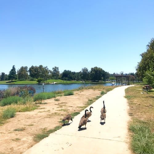 A perfect day off: local cafes, scenic hikes, Costco bites, movie breaks, KBBQ feasts, and sweet treats—plus a few surpriss! Follow along for a chill, food-filled adventure across Sherman Oaks, Studio City, and Van Nuys. smartselfstorage.com/self-storage/c…