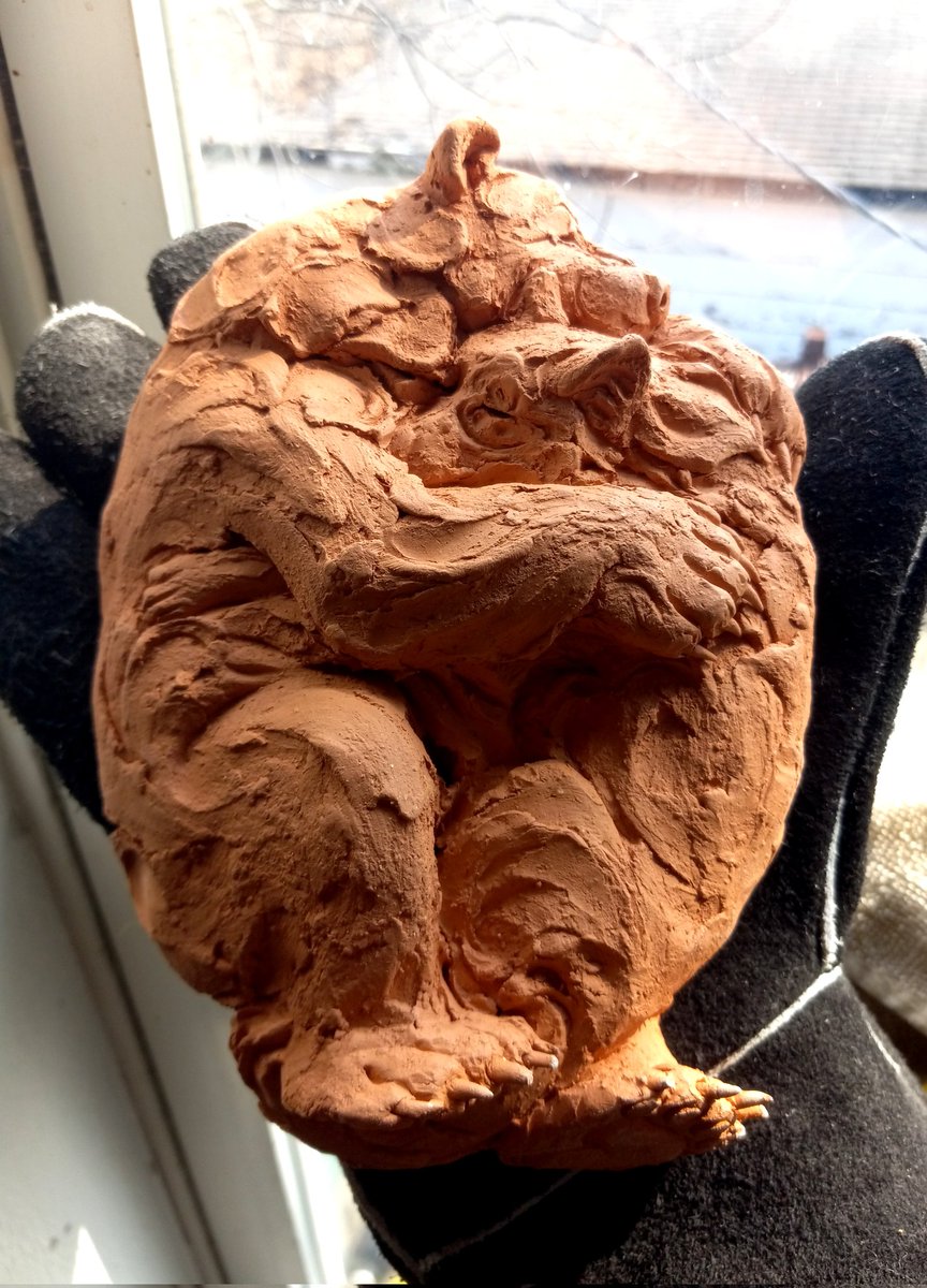 Luke 🐾 tweet media