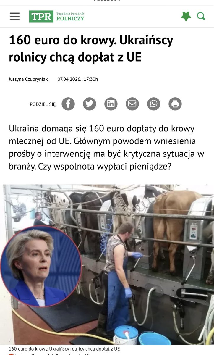 Rafał Mekler tweet media