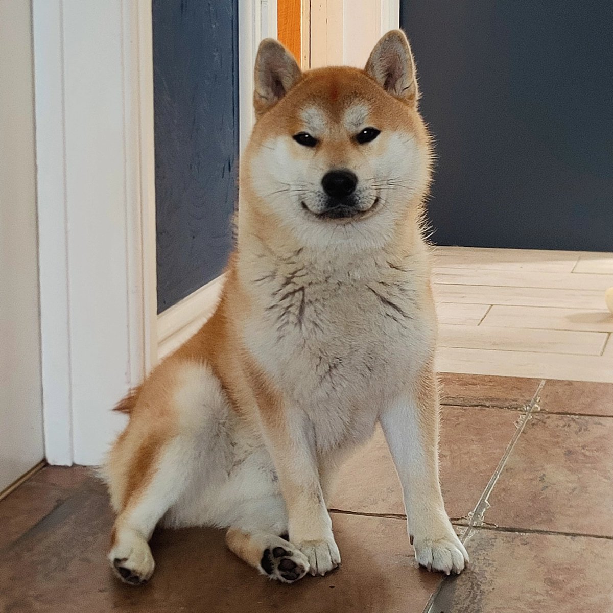 Martyn & Mika 🏴󠁧󠁢󠁷󠁬󠁳󠁿 tweet media