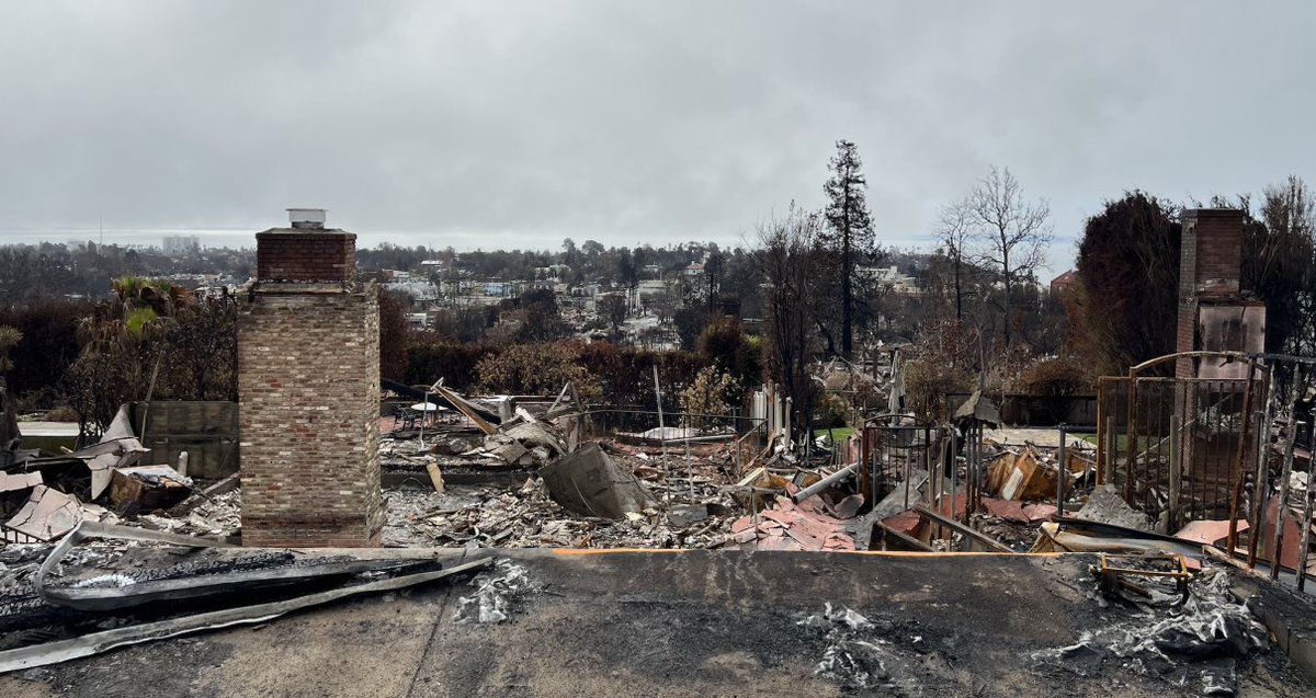 California Globe tweet media