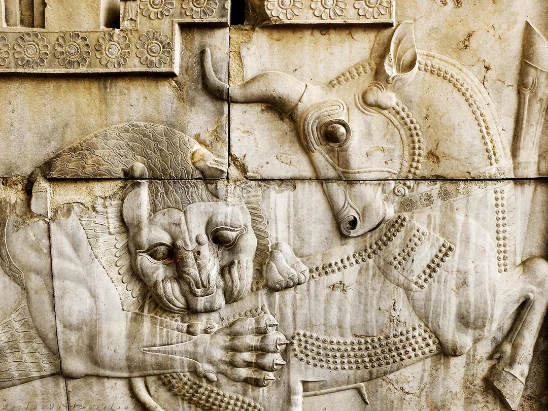 Giuseppe Rinaldi tweet media