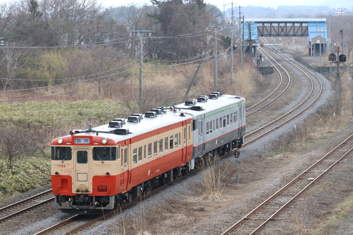 渡島北斗のテツ tweet media