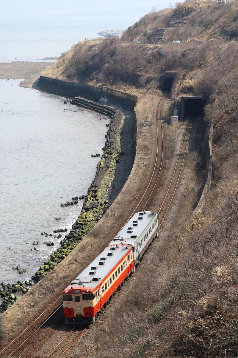 渡島北斗のテツ tweet media