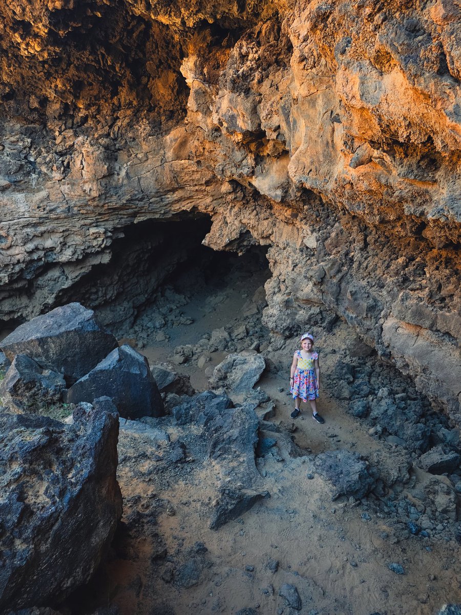 Brigham's Burner tweet media