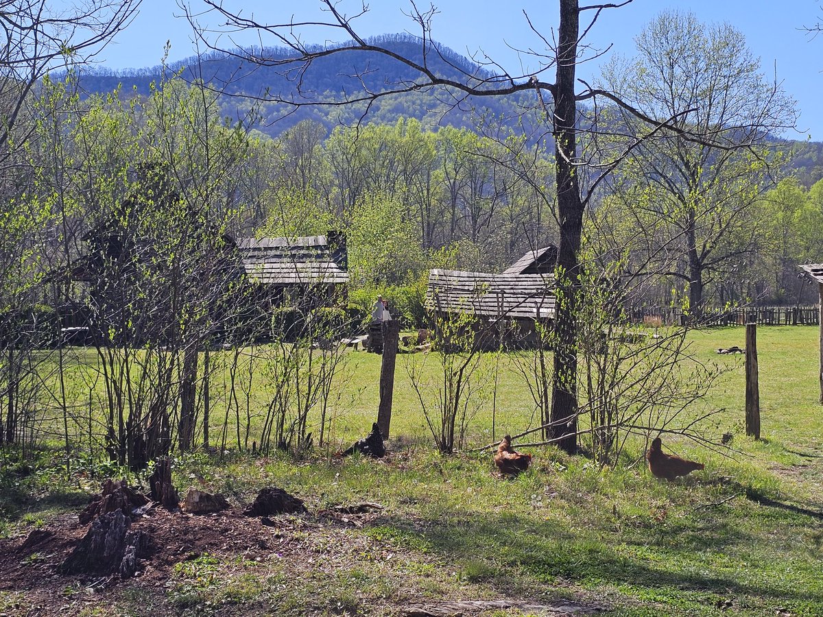 Cathy Roberson tweet media