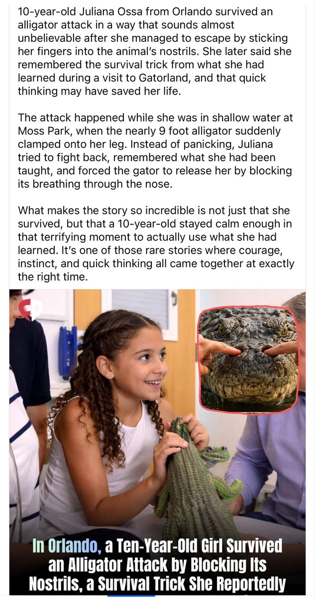 Just Mindy 🐊 tweet media