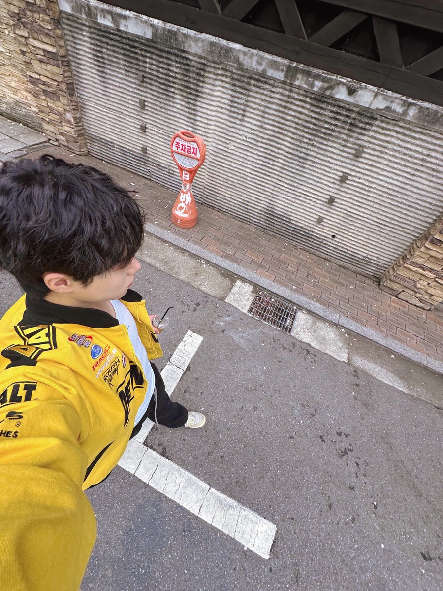 The Wind tweet media