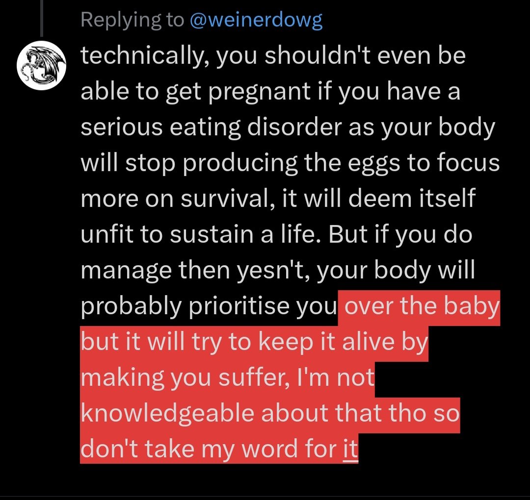 Lost Dragon_file tweet media