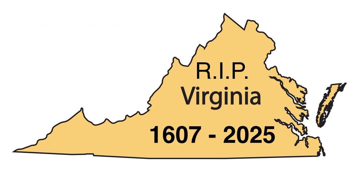 Scout 🇺🇸 tweet media