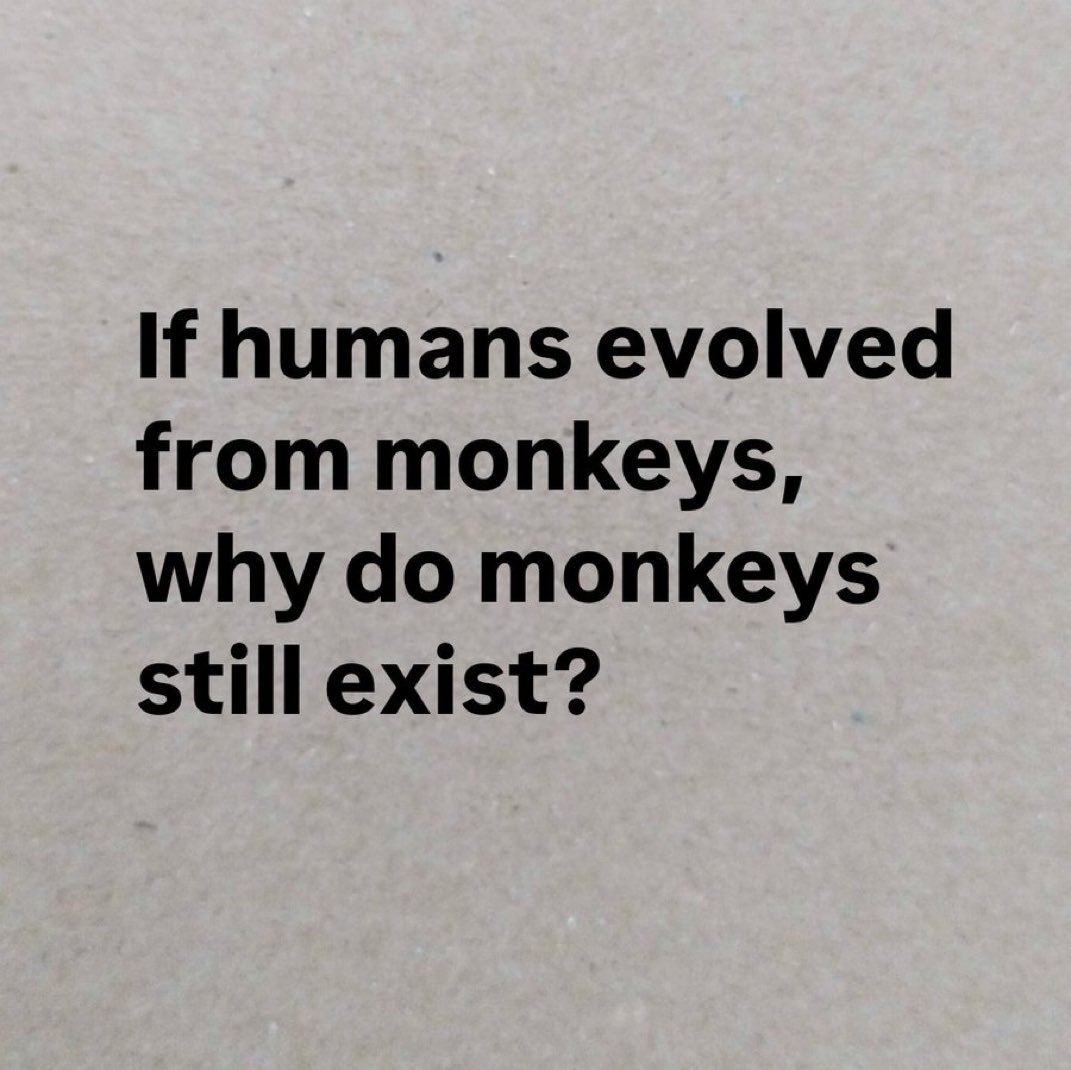 Antonio Sabato Jr tweet media