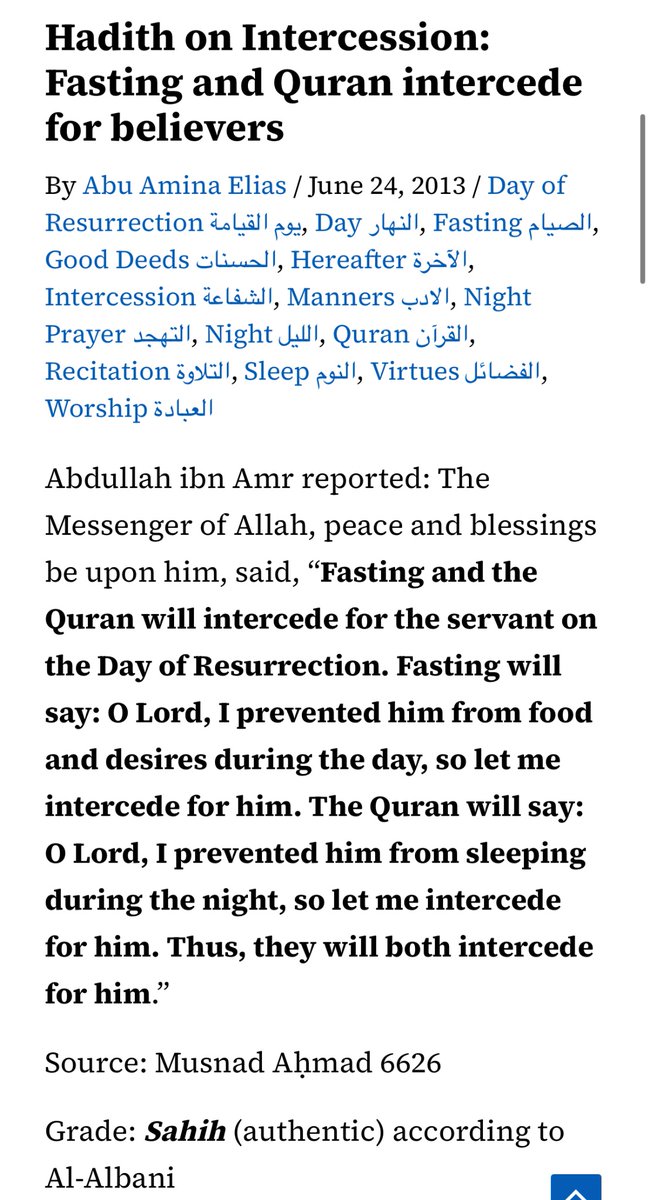 شایان tweet media