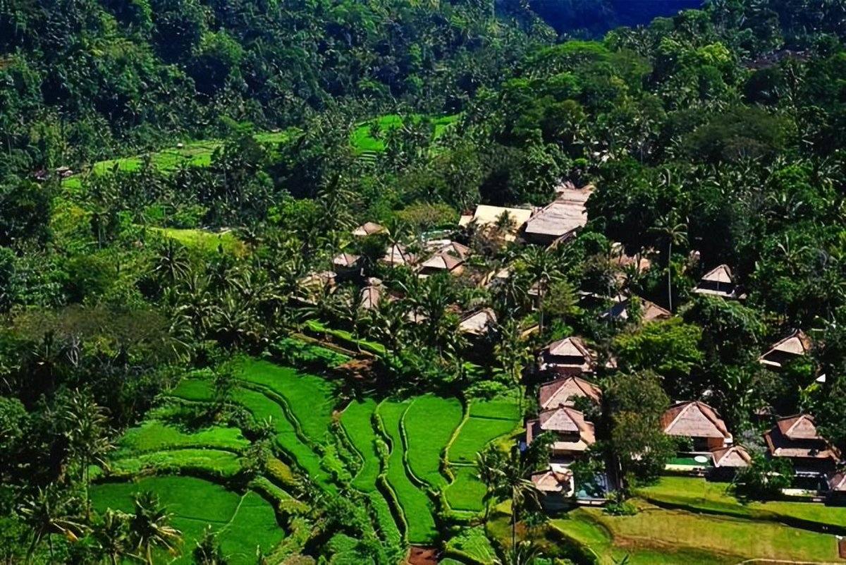 freddyrynne tweet media