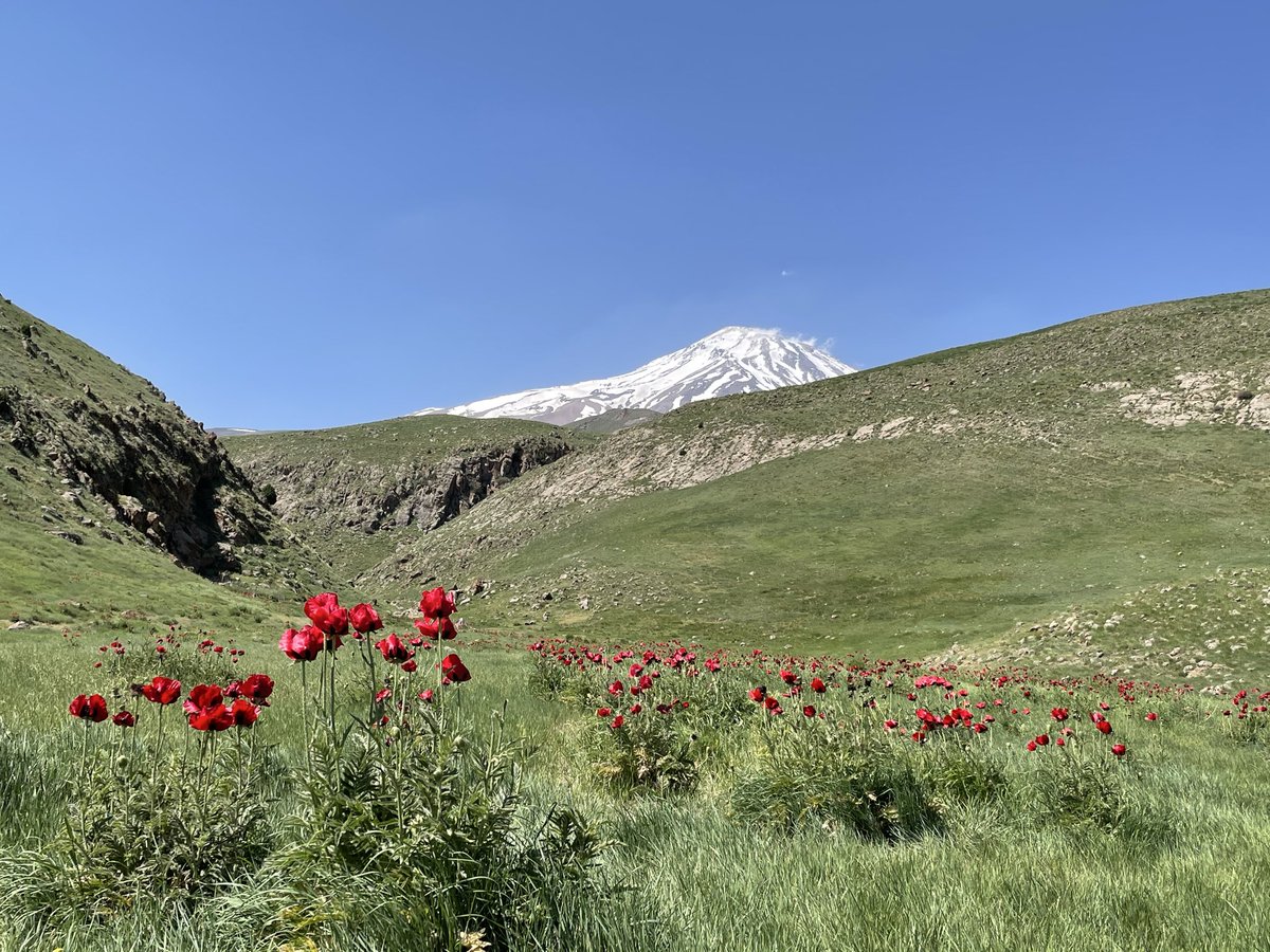 PhilippeLW's tweet photo. #Iran - a true civilization; something that nobody can ever come close to challenging. The European settlers that are now in charge of the USA &amp; occupied Palestine, definitely not

Western ignorance and arrogance towards Iran must stop. Respect &amp; cultural awareness is key. https://t.co/uYJiXJVwTQ