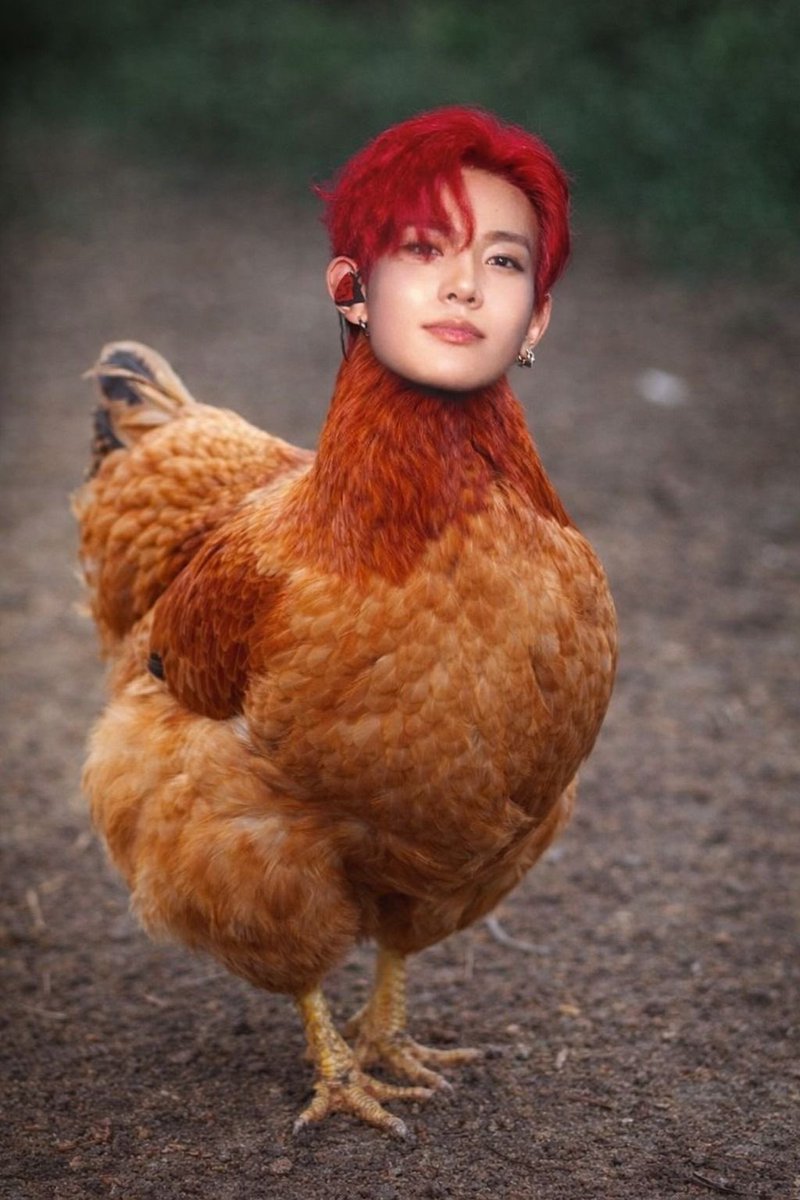 не нюта | EN7 tweet media