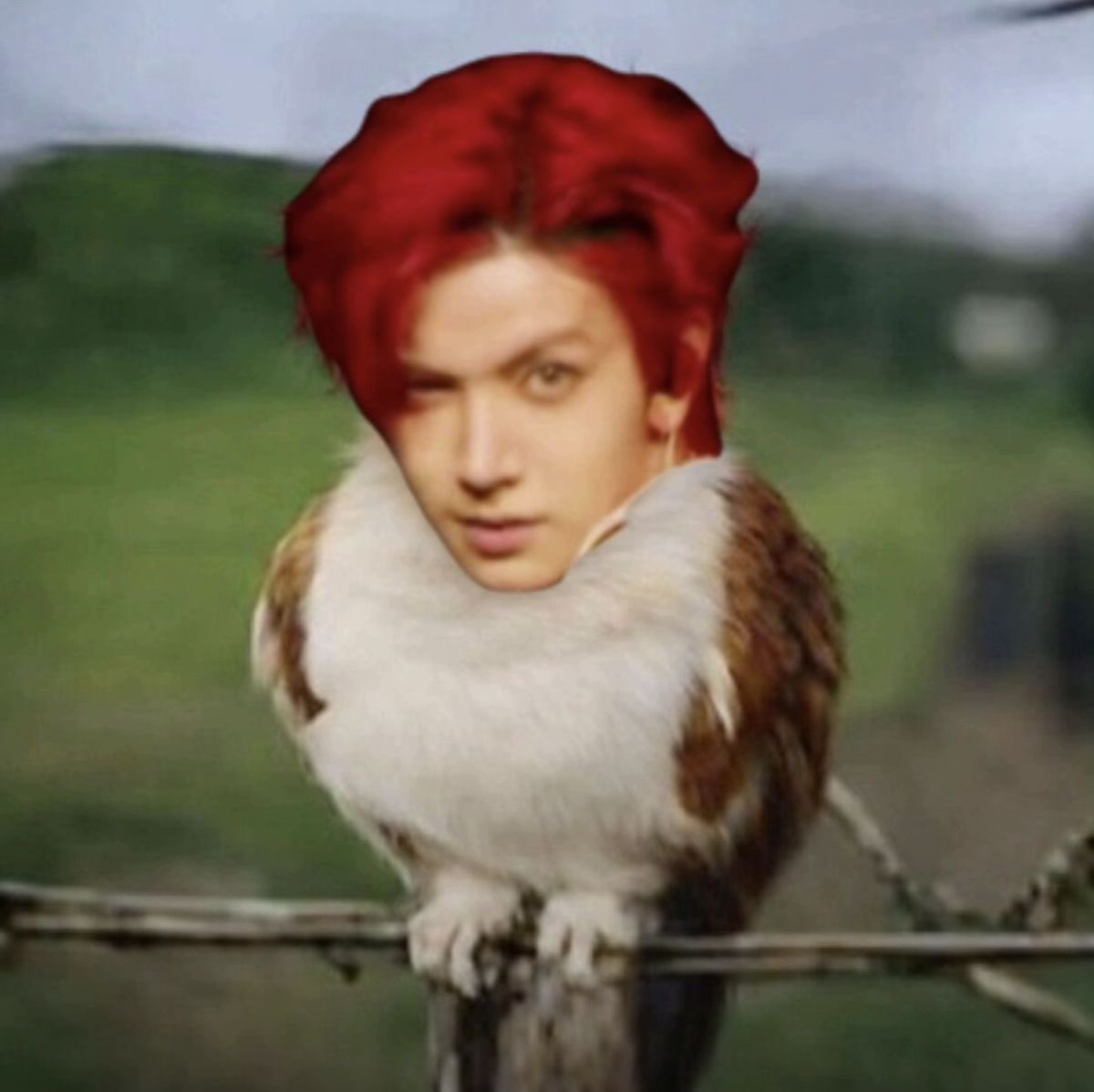 не нюта | EN7 tweet media