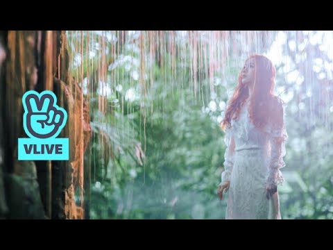 LC SNS&Information tweet media