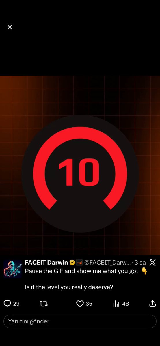 çılgınbad tweet media