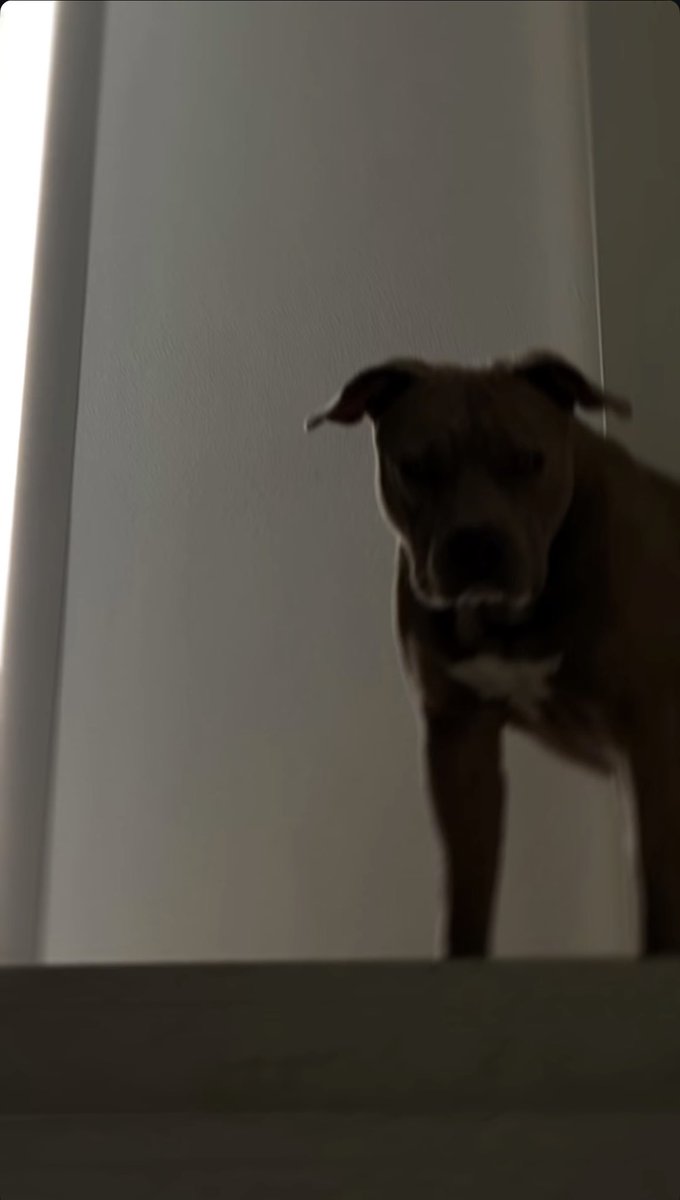 Mrs B ✨ tweet media