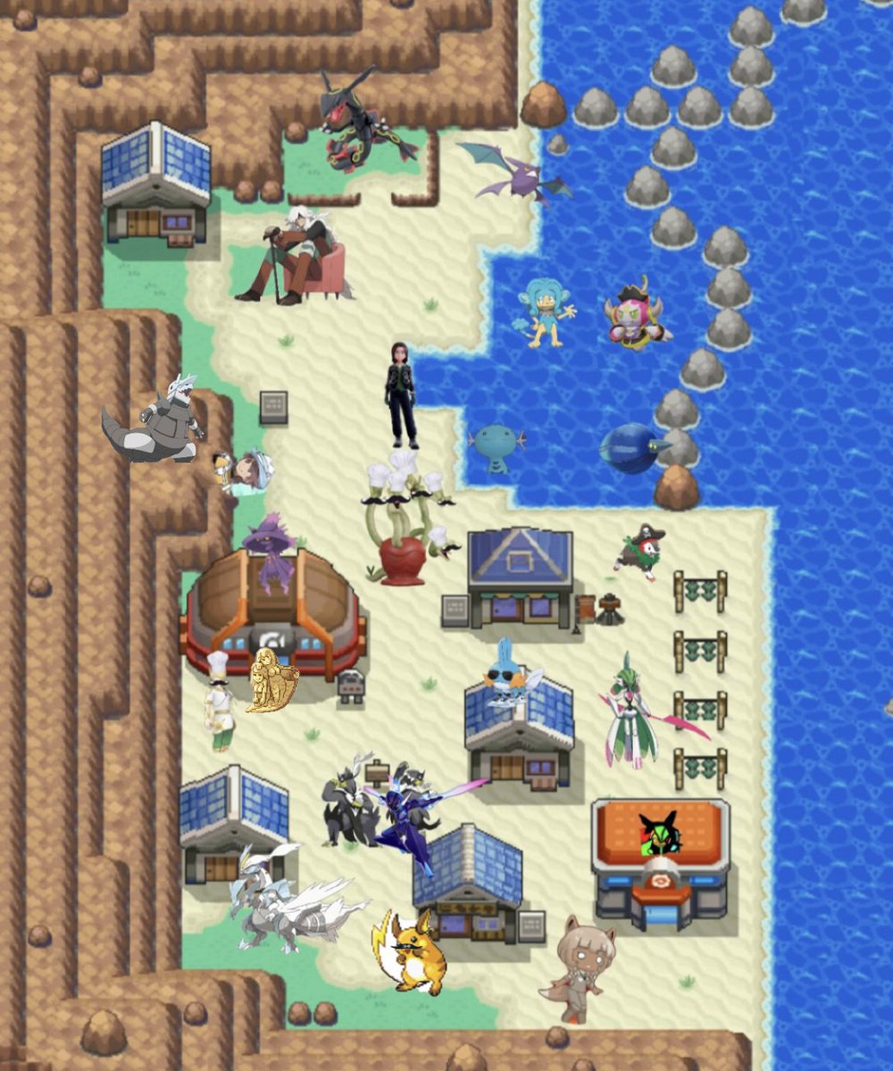 Chef Volo tweet media