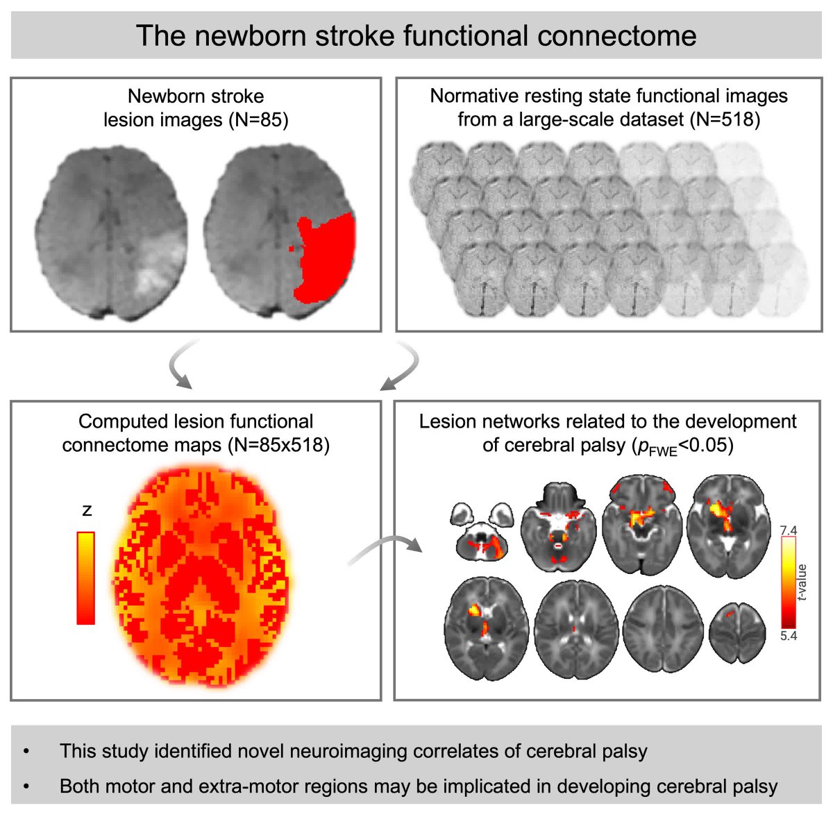StrokeAHA_ASA's tweet image. The development of cerebral palsy after neonatal #stroke may be associated with disruptions of broad functional networks involving motor and extramotor regions as opposed to isolated lesions of the motor tracts. ahajrnls.org/4sYTPh6