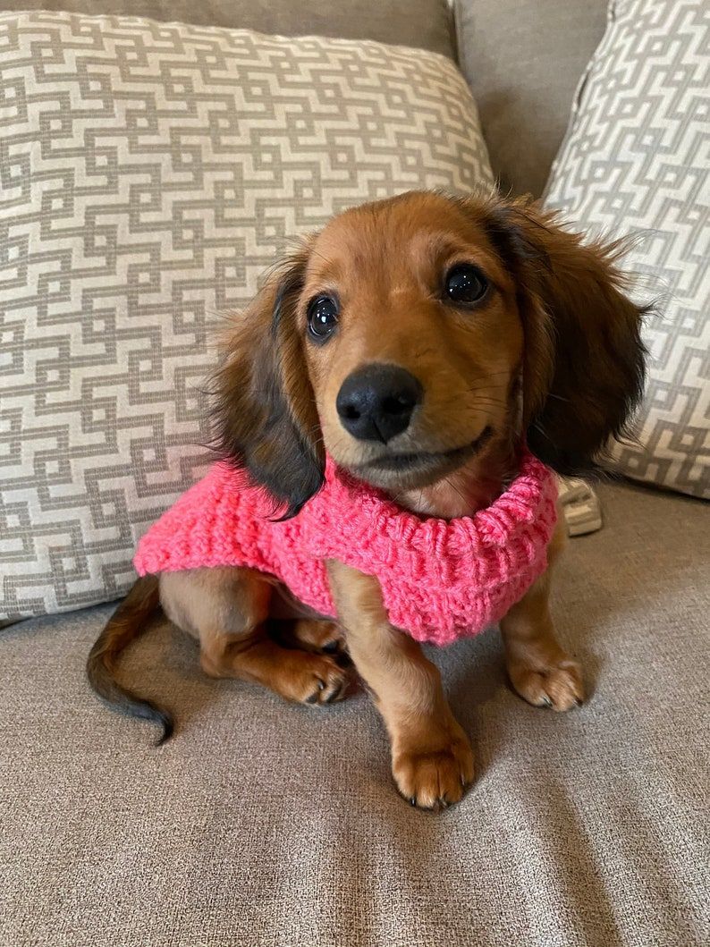 knithacker's tweet image. Pattern To Knit Lena's Waffle Stitch Miniature Dachshund Sweater: 👉 tidd.ly/3RN1KNV - designed by Marcia of Lena's Legacy Hand Knits #knitting #handmade #doglove #etsy #affiliate 🐶