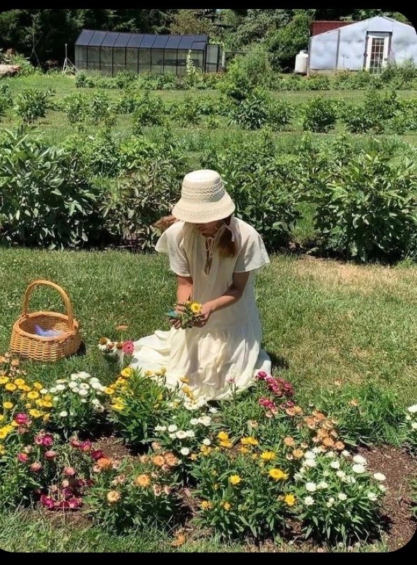 𝒮ℴ℘𝒽𝒾ℯ ᛉ ᛟ ᚨ | 🌲⌖ tweet media