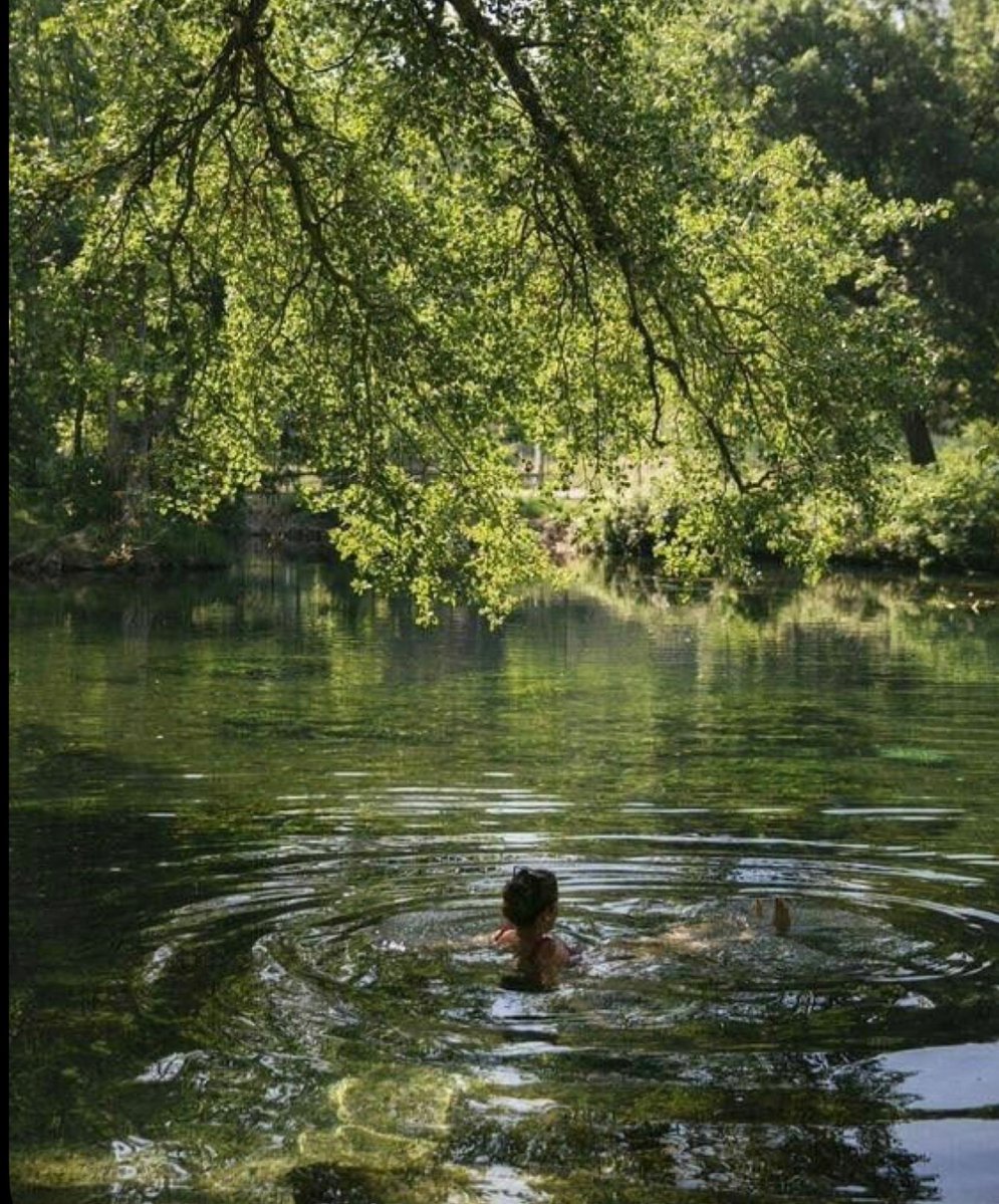 𝒮ℴ℘𝒽𝒾ℯ ᛉ ᛟ ᚨ | 🌲⌖ tweet media