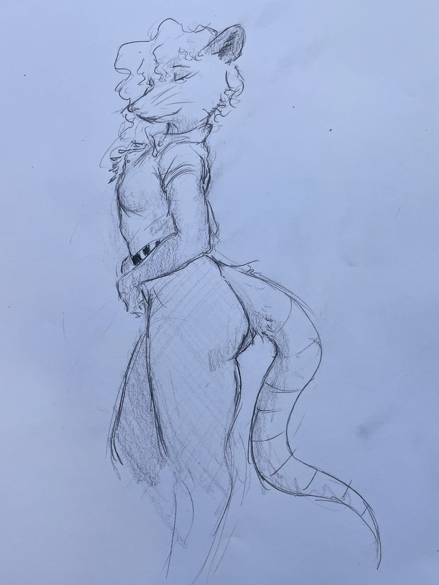 Aedificator tweet media