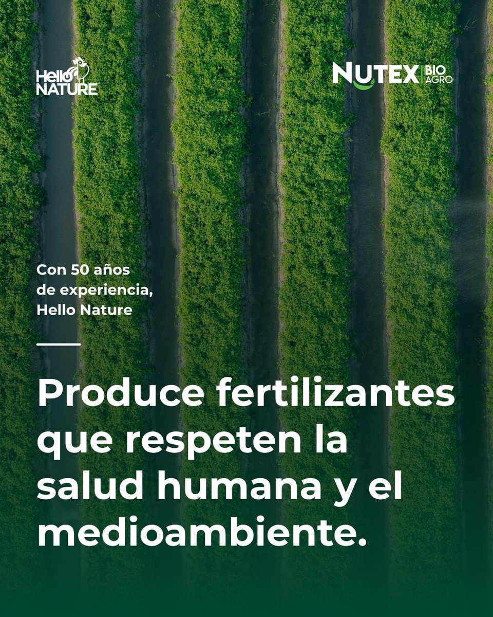 Nutex tweet media