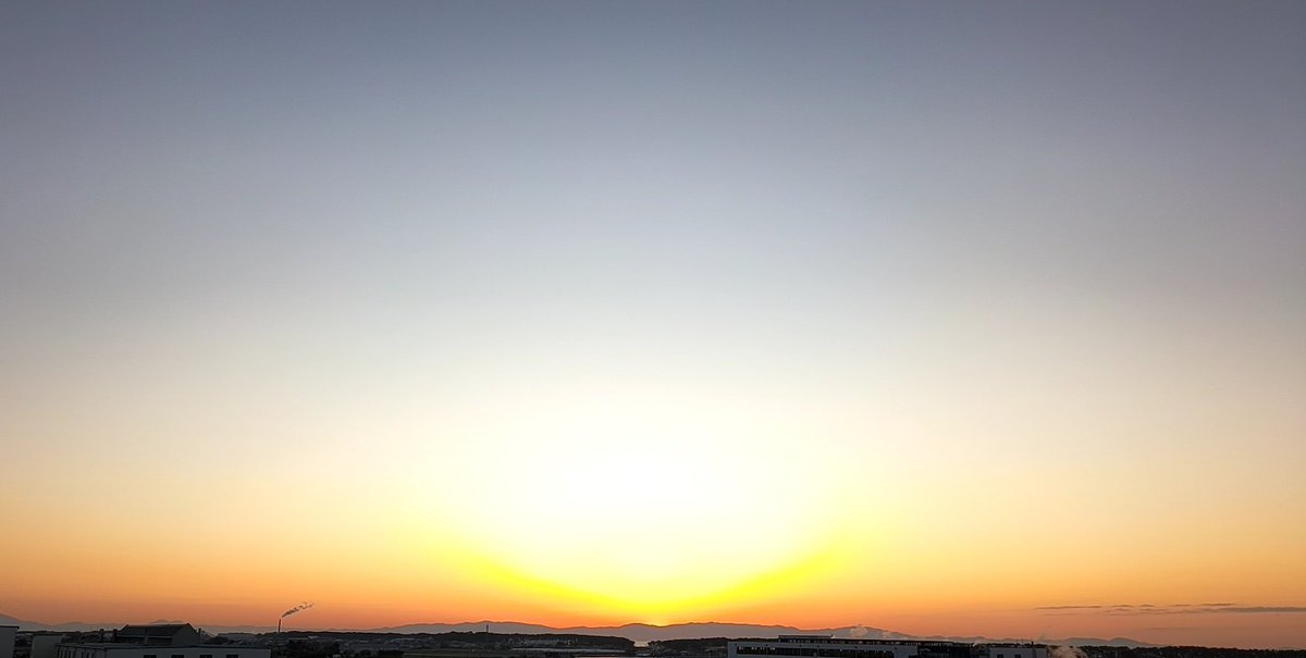 チョコゴロ寝🔥⚔🏴☠️🍙🚑👾🎪♌🛸💜🍑🌸🏯🐬☕🪡 tweet media