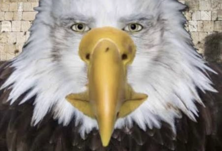 The Rod Hero tweet media