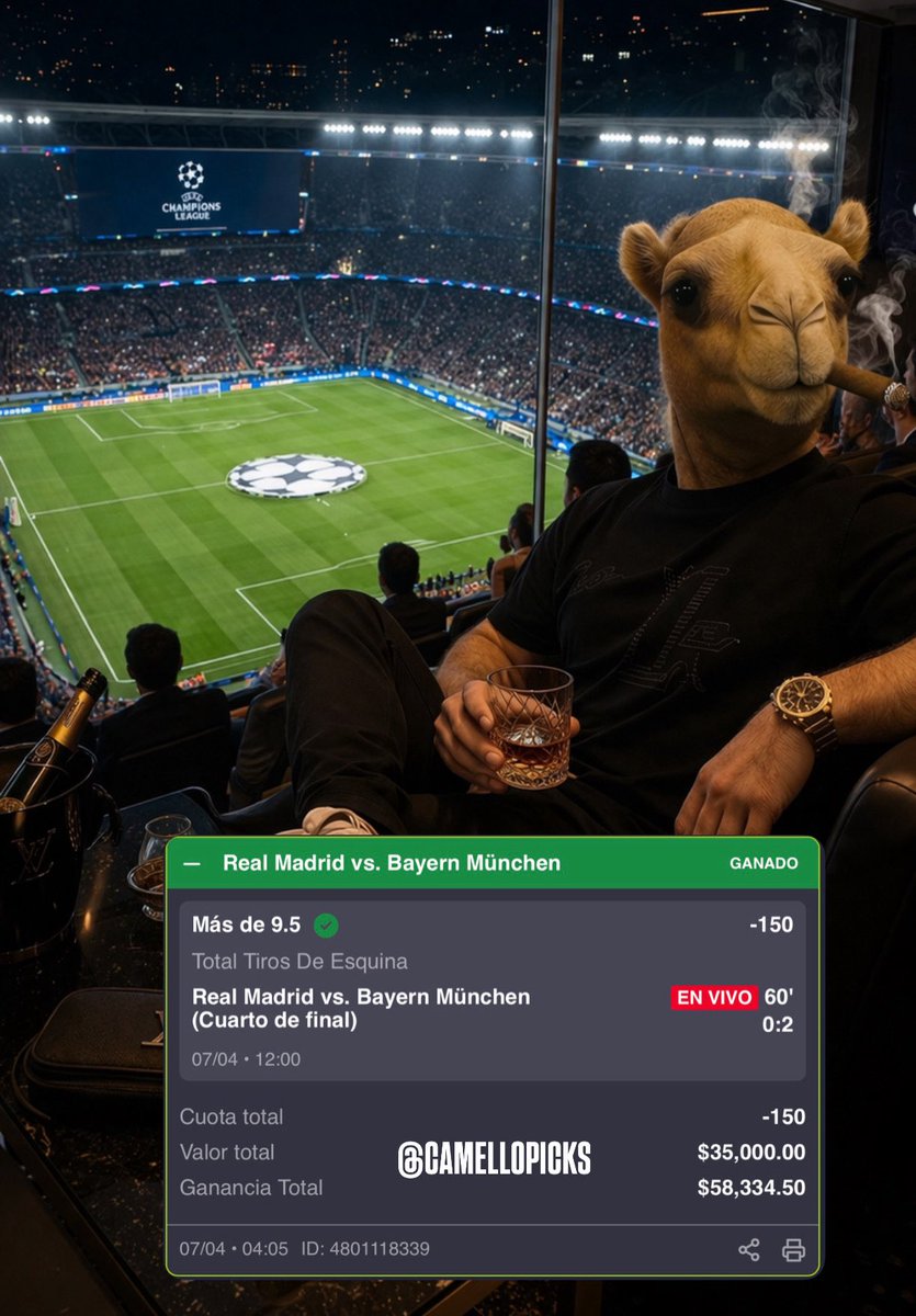 CAMELLO PICKS tweet media