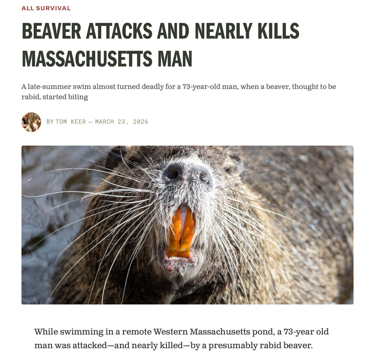 Thomas Rummel tweet media