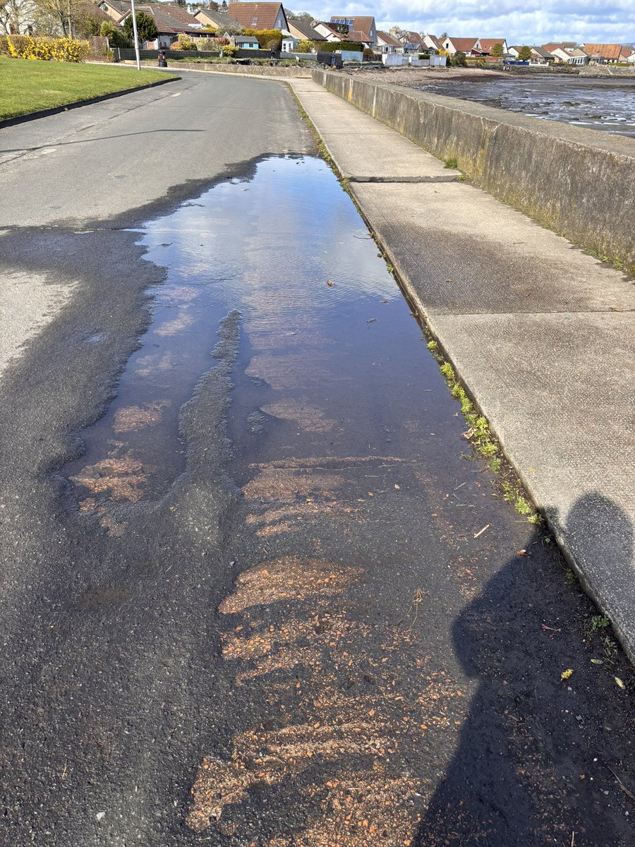 Elizabeth Carr-Ellis tweet media