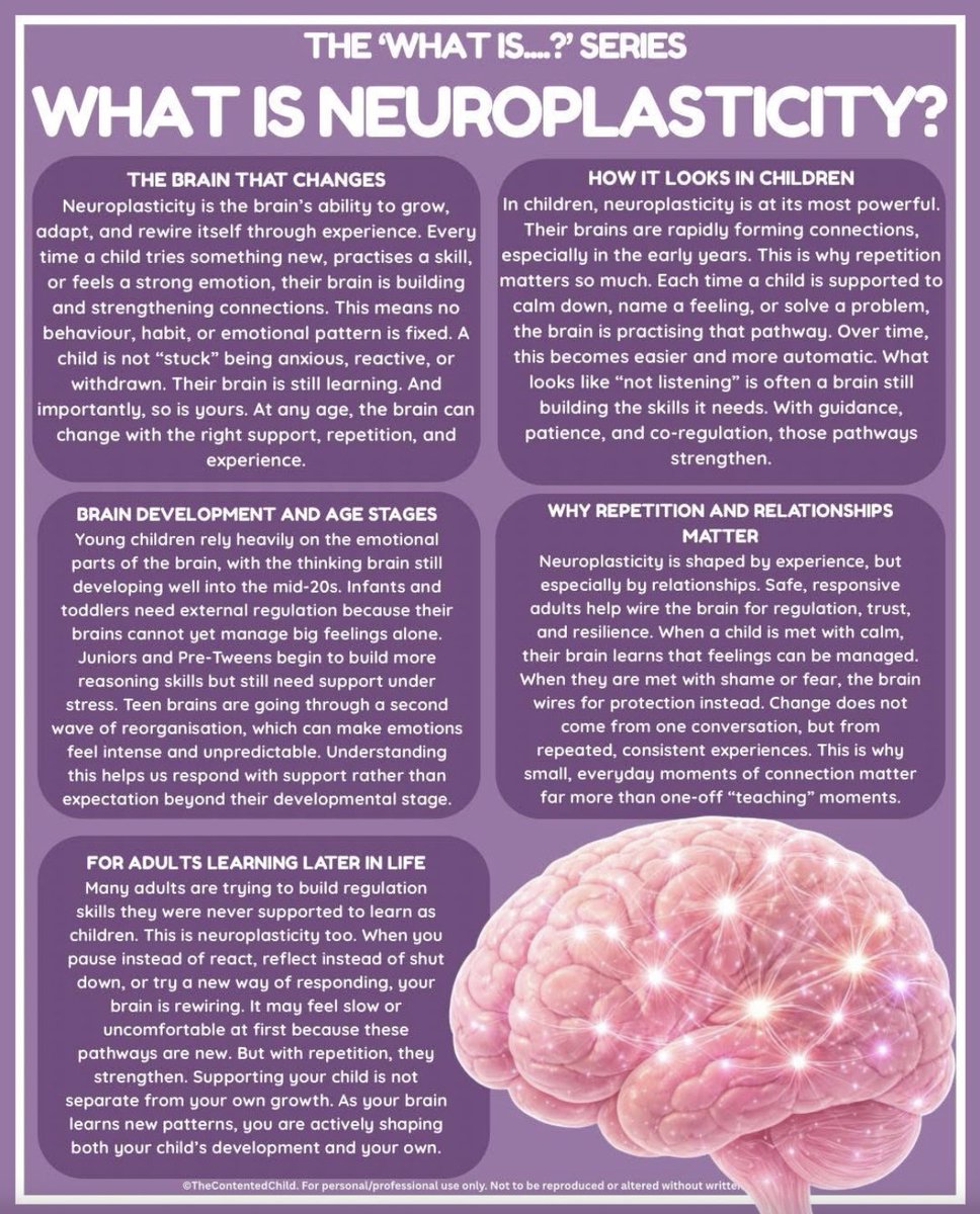 ghoststn101's tweet photo. #letsgeteducated 🧠 #Neuroplasticity is the brain’s superpower—its ability to change! It happens at all ages, though children’s brains are most flexible. Experiences &amp; relationships shape how we grow and adapt.

#Neurodiversity #ADHD #Autism #BrainHealth #MentalHealth https://t.co/iO7G1zzoA0
