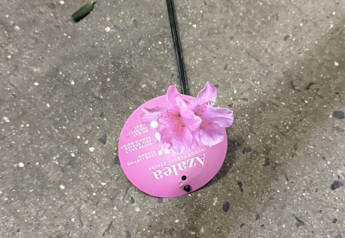 NYC’s first sign of <a href="/TheMasters/">The Masters</a> week