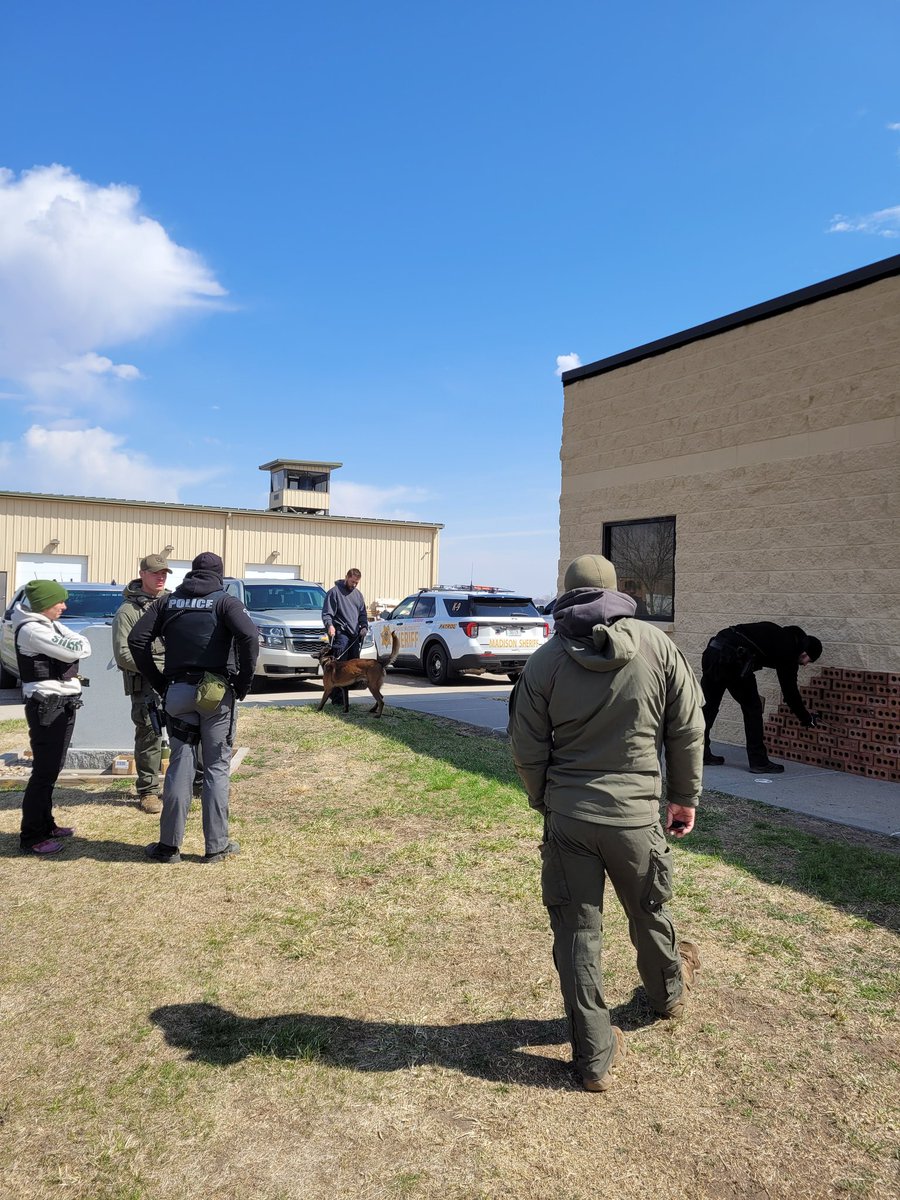 NSP Dog Division tweet media