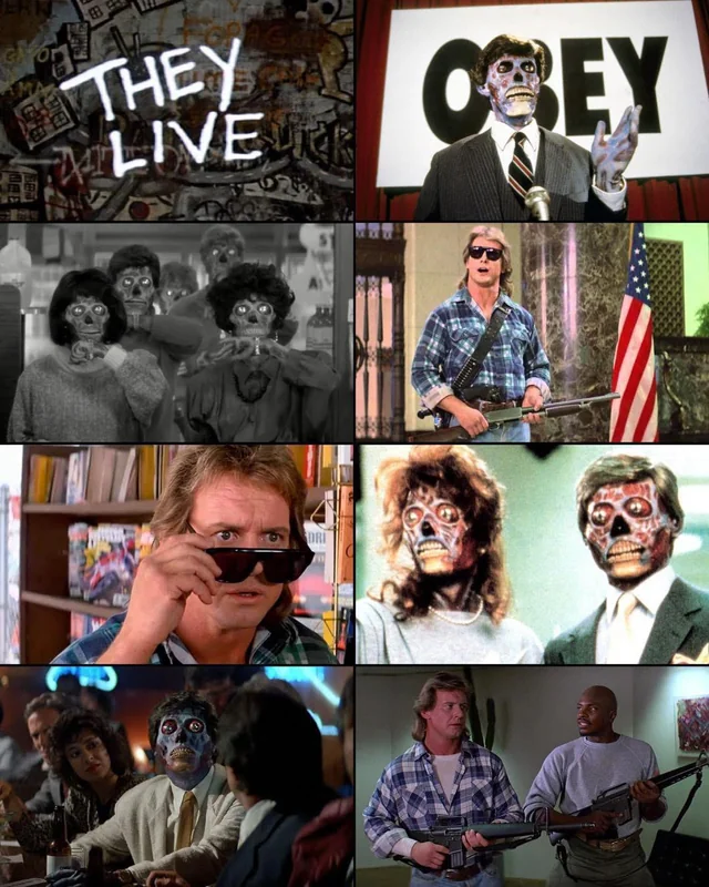 nihasilev tweet media