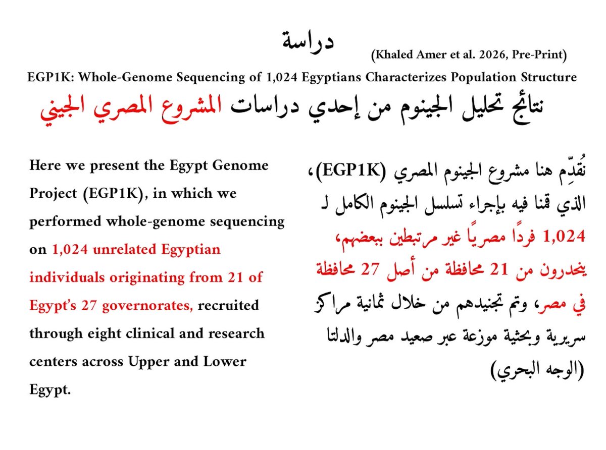 Mohamed Abdelhady - محمد عبدالهادي tweet media