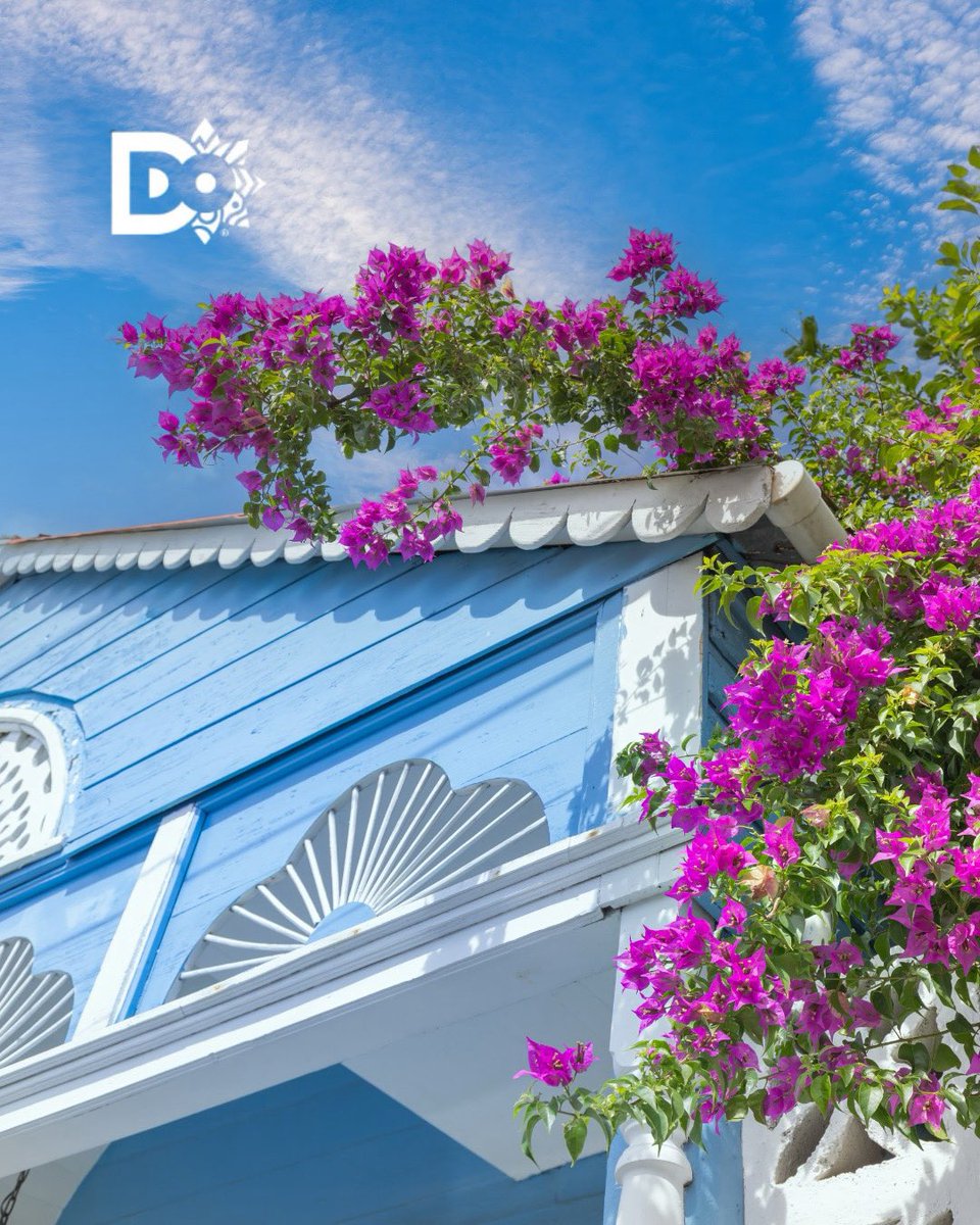 Marca País República Dominicana tweet media