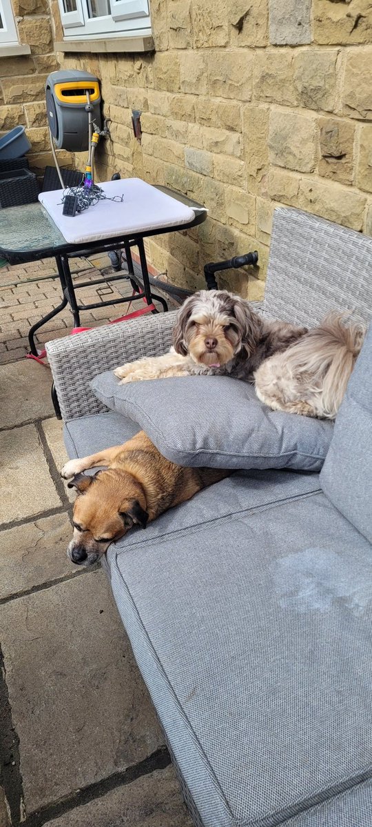 Frank Barratt 🏴󠁧󠁢󠁥󠁮󠁧󠁿🇮🇱 tweet media