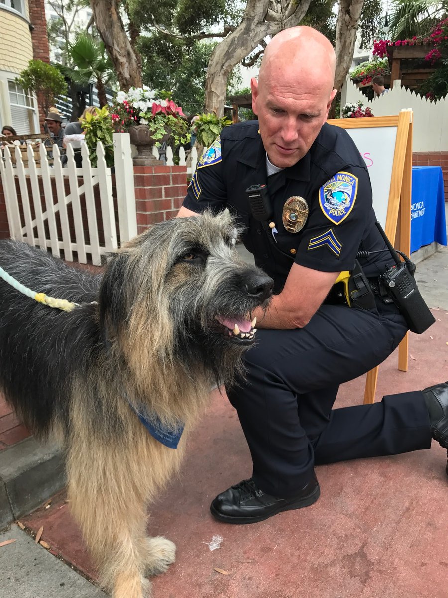 Santa Monica Police tweet media