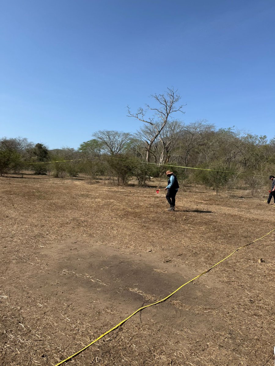 Comisión Nal. de Búsqueda Mx tweet media