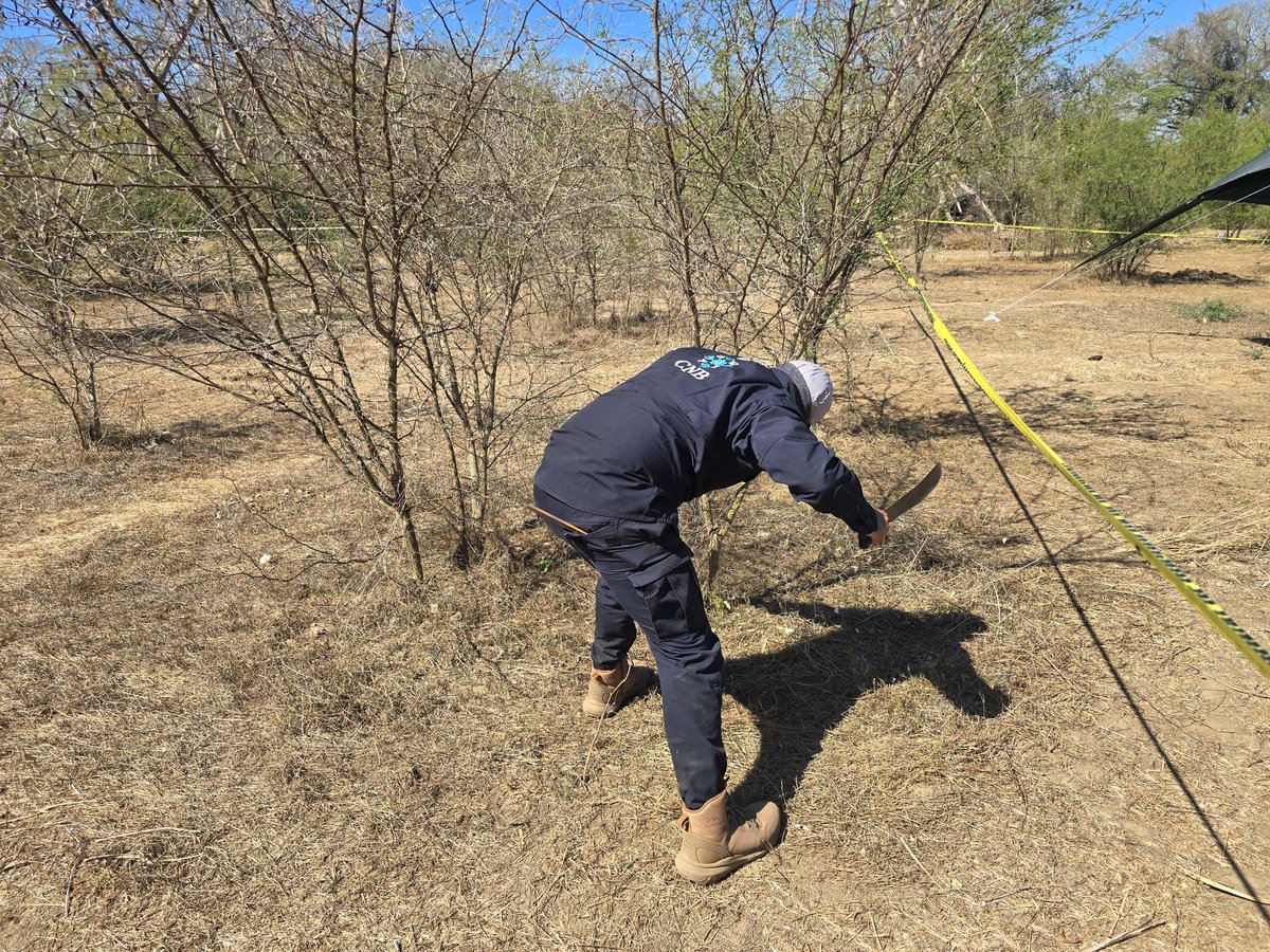 Comisión Nal. de Búsqueda Mx tweet media