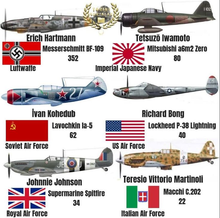 Gun Fanatics tweet media